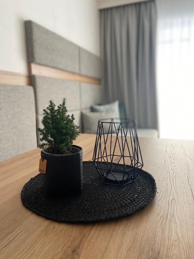 Ski & Bike Appartements Altenmarkt im Pongau Zewnętrze zdjęcie